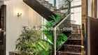 Siêu lợi nhuận: Mặt tiền Khuông Việt (6/7.3 * 38m) thang máy 5 lầu thu nhập 120 triệu
