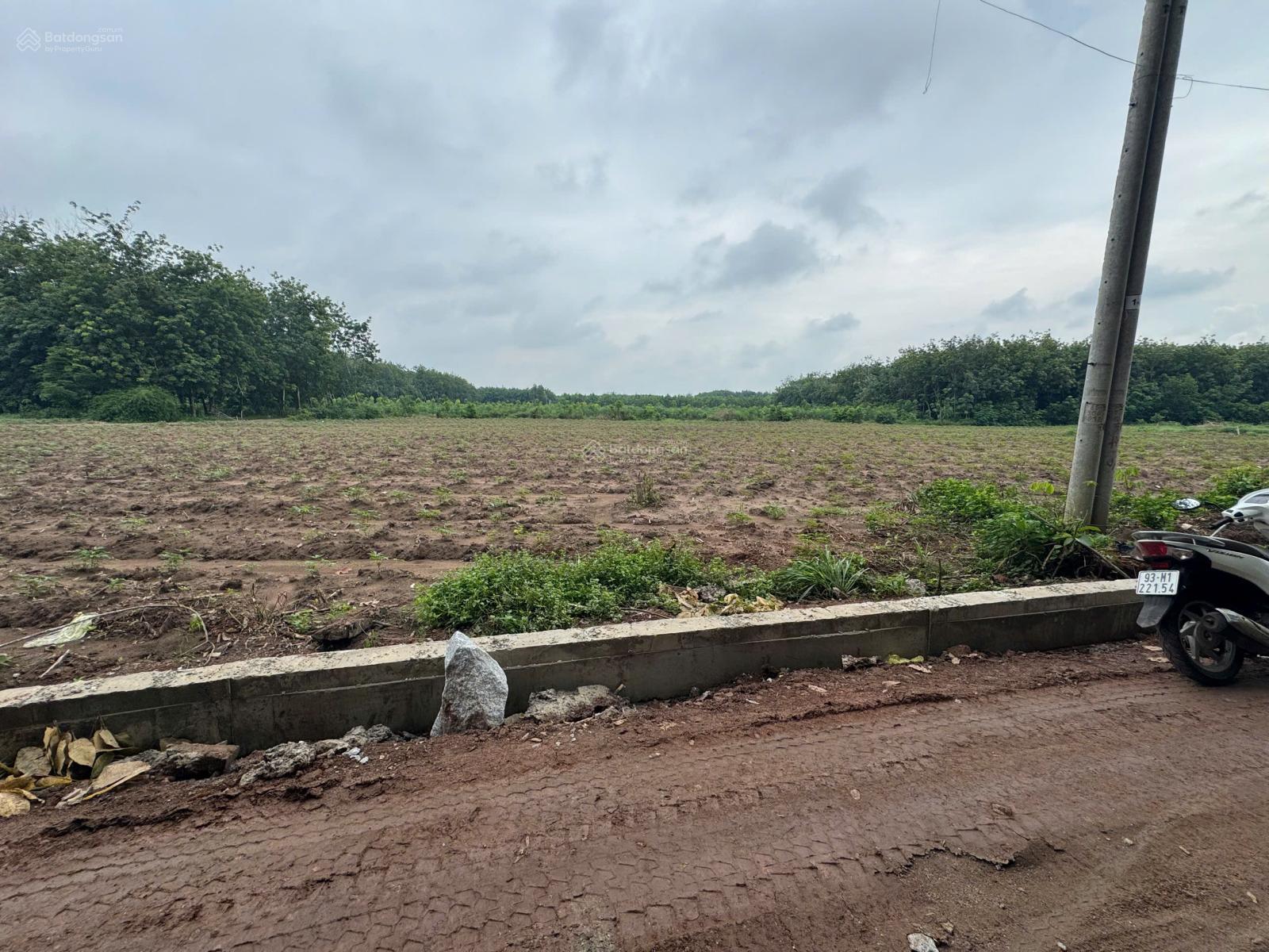 Anh Lợi gửi bán 1080m2 đất vườn, Kế bên KCN đang hoạt động, đường oto 10m, điện 3 pha, Giá 550tr Anh Lợi gửi bán 1080m2 đất vườn, Kế bên KCN đang hoạt động, đường oto 10m, điện 3 pha, Giá 550tr