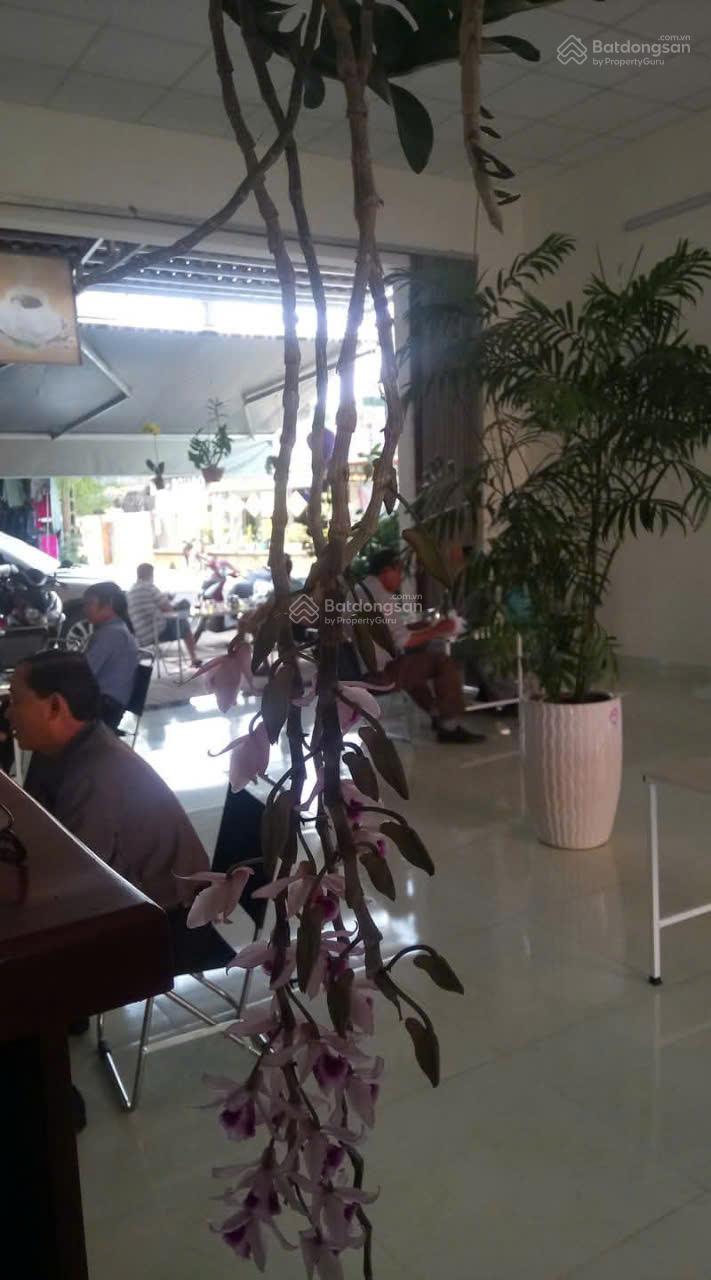 Nhà 2 MT trước sau đường Ama Khê, sát chợ, trung tâm TP BMT