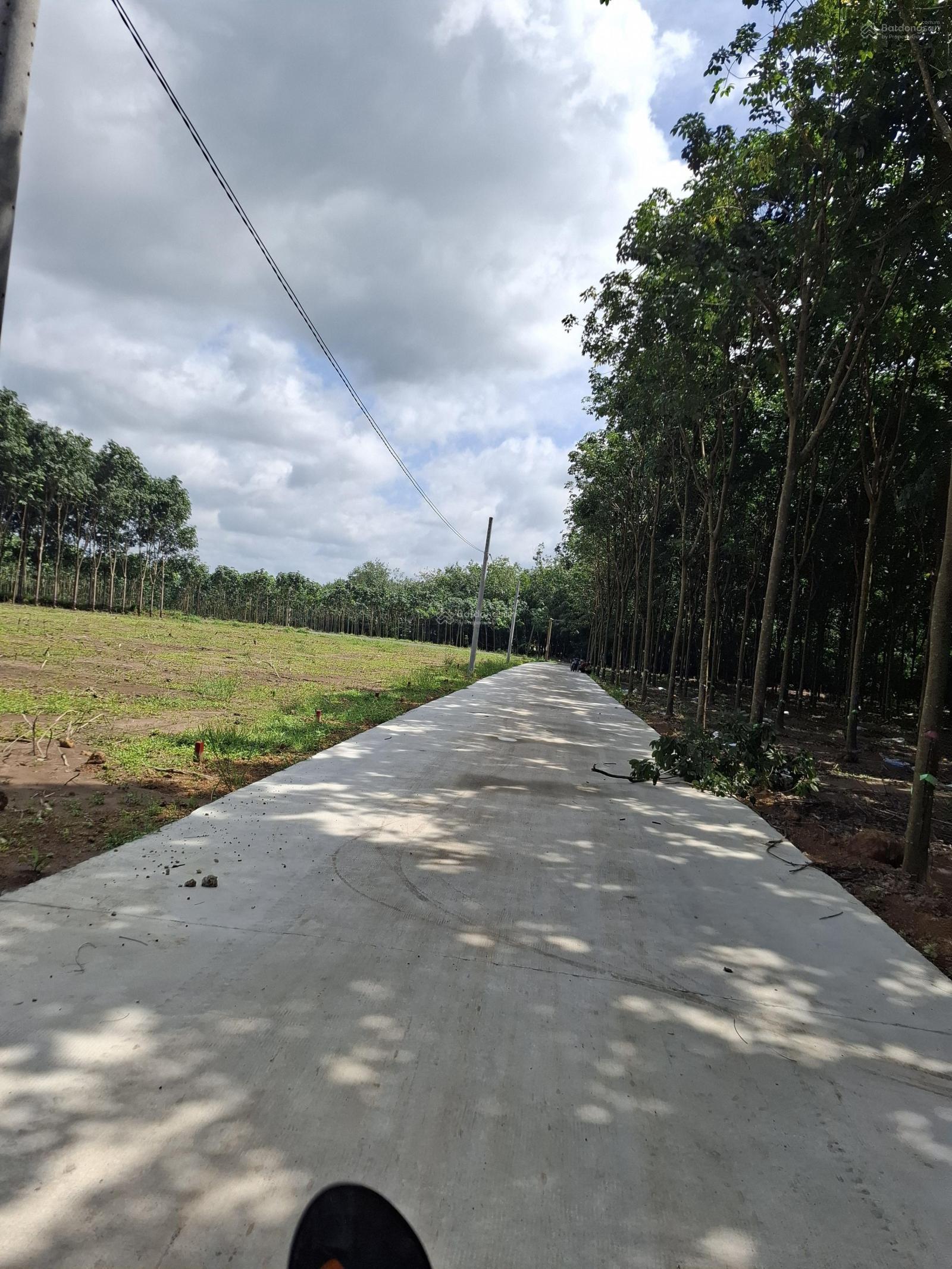 BÁN ĐẤT NỀN SỔ SẴN ĐƯỜNG NHỰA 18M