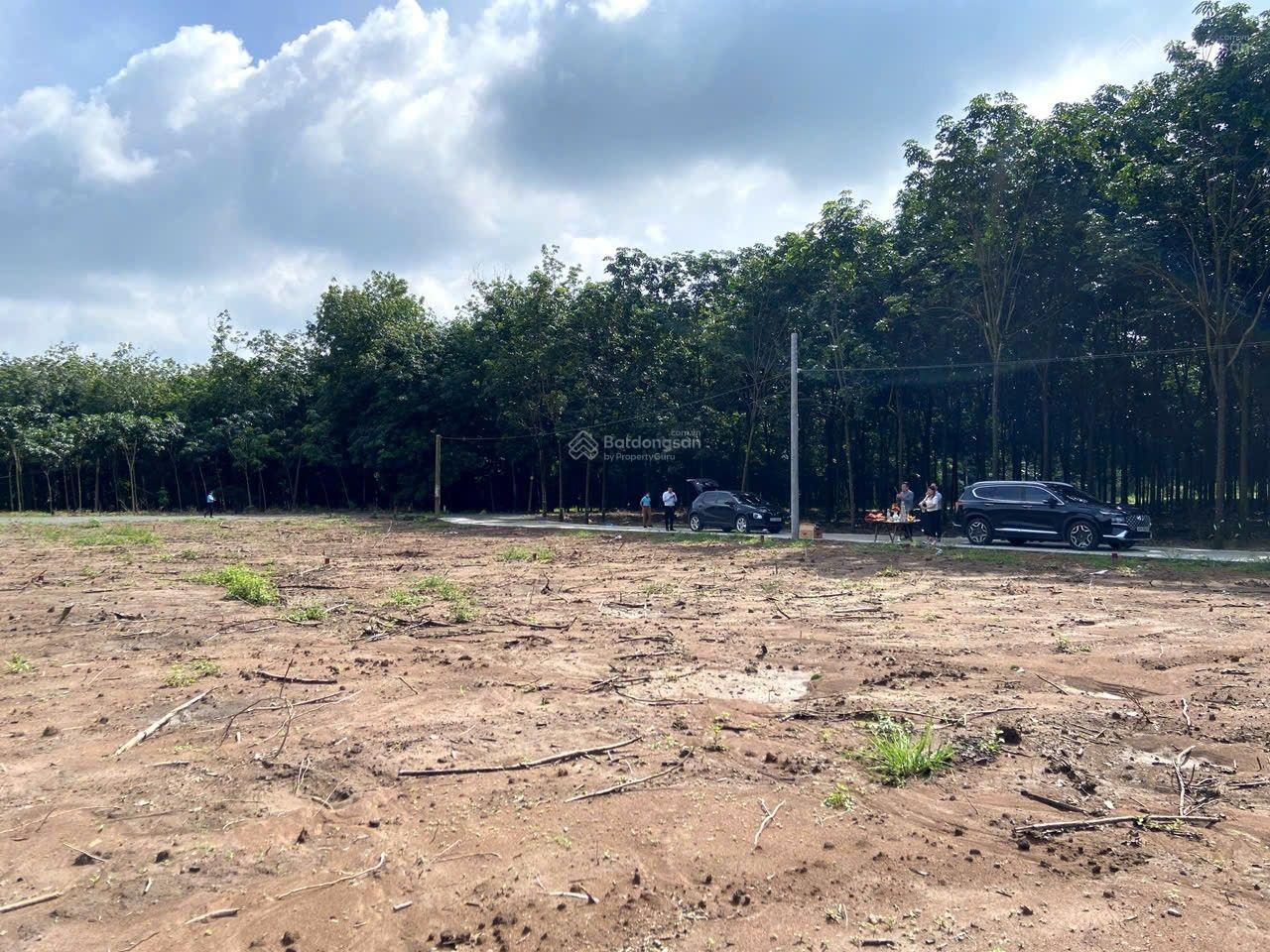 BÁN ĐẤT NỀN MẶT TIỀN ĐƯỜNG NHỰA 18M