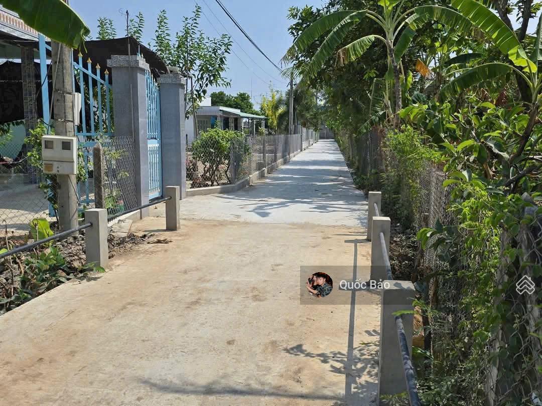 Bán đất 180m2 tại Đường 50, Xã Bình Đông, Gò Công, Tiền Giang, giá cực chất 1tỷ350 triệu