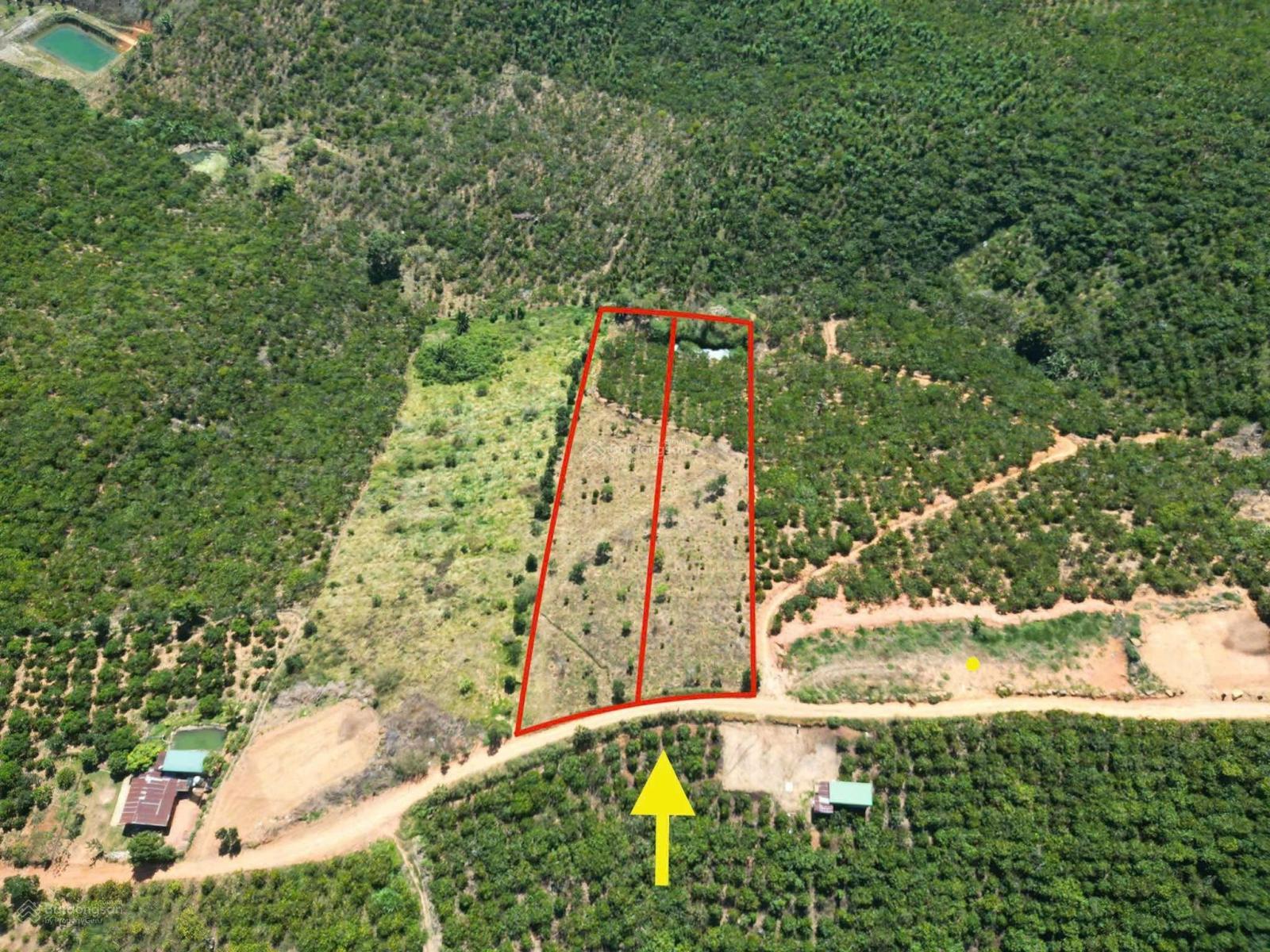 5.000m2 mặt tiền bê tông, cách QL 20 chỉ 2km