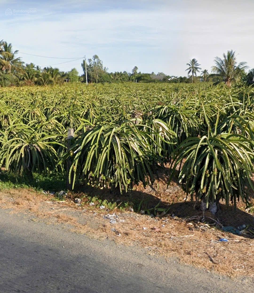 Bán đất 3570 m2 giá siêu hời 48 tỷ tại ĐT 827A, Thuận Mỹ, Châu Thành, Long An