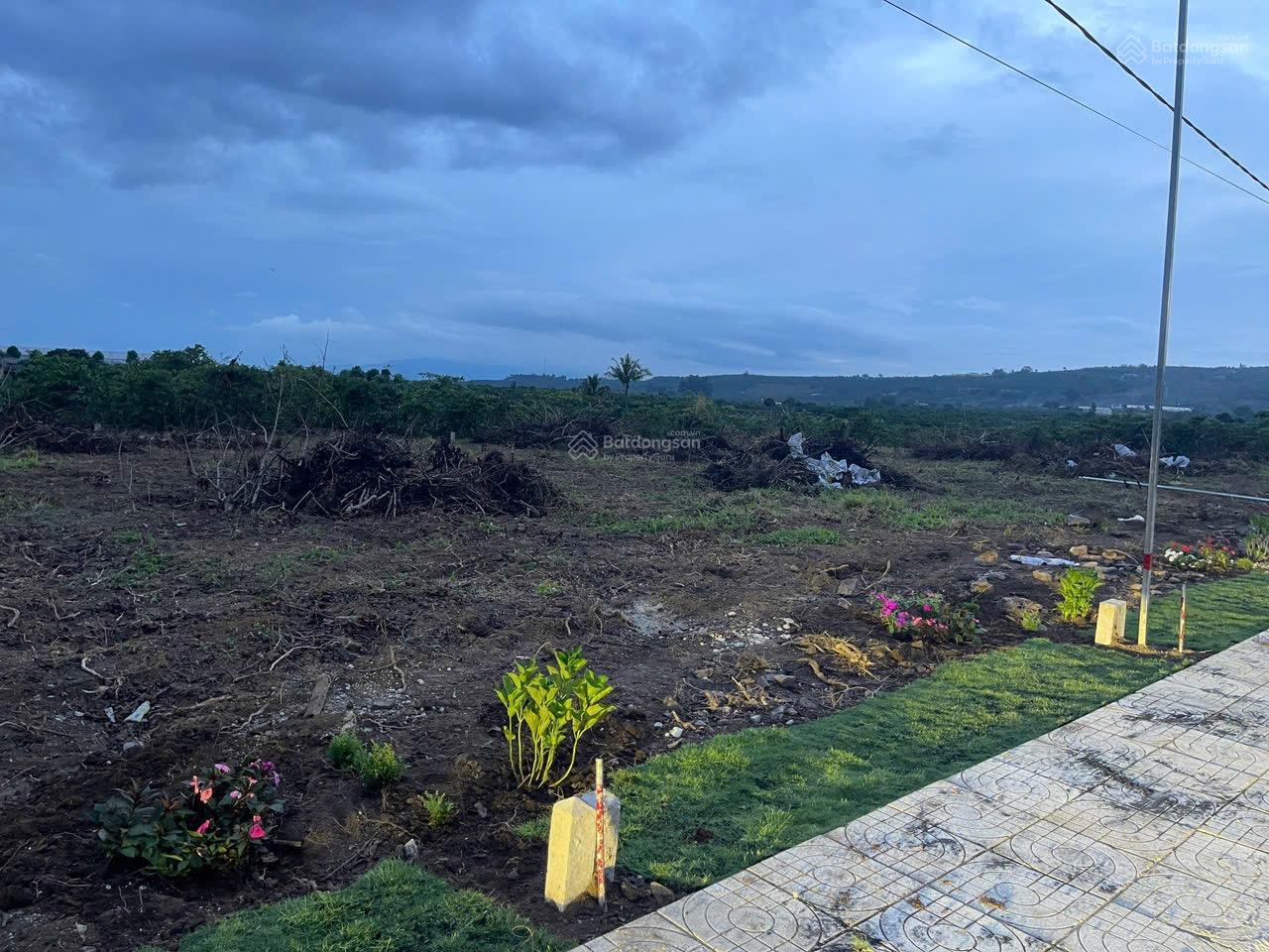 + Chính chủ cần bán đất tại Đinh Văn( Tân Văn cũ) Lâm Hà gần Đà Lạt , Giá chỉ 430tr + Chính chủ cần bán đất tại Đinh Văn( Tân Văn cũ) Lâm Hà gần Đà Lạt , Giá chỉ 430tr