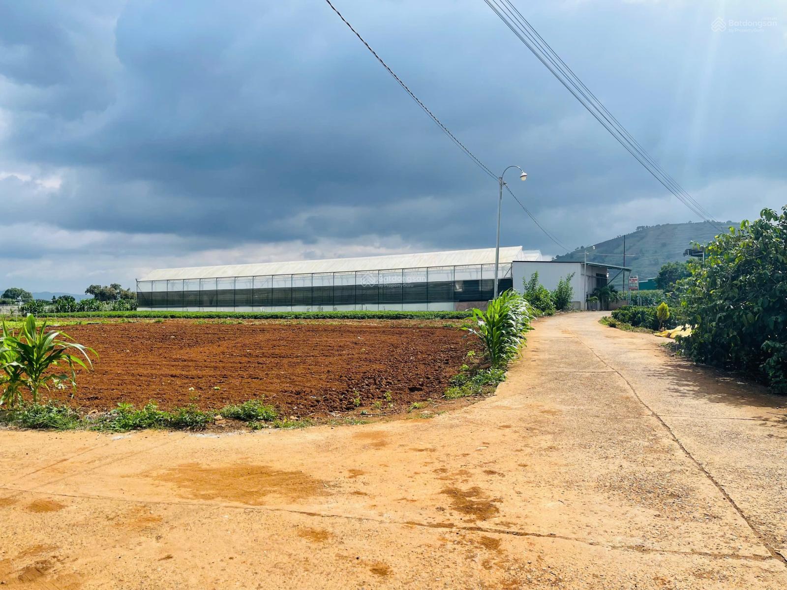 Bán gấp đất Tân Hội, cách đường tránh cao tốc BL 3ph, 5x31m, 72m2 thổ cư, sổ hồng riêng, giá 799tr