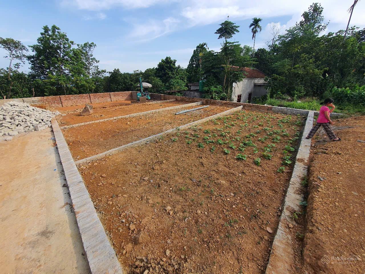 Chính chủ gửi bán lô đất 54m2 full TC tại thị trấn Đại Nghĩa, Mỹ Đức - ngõ thông tứ tung