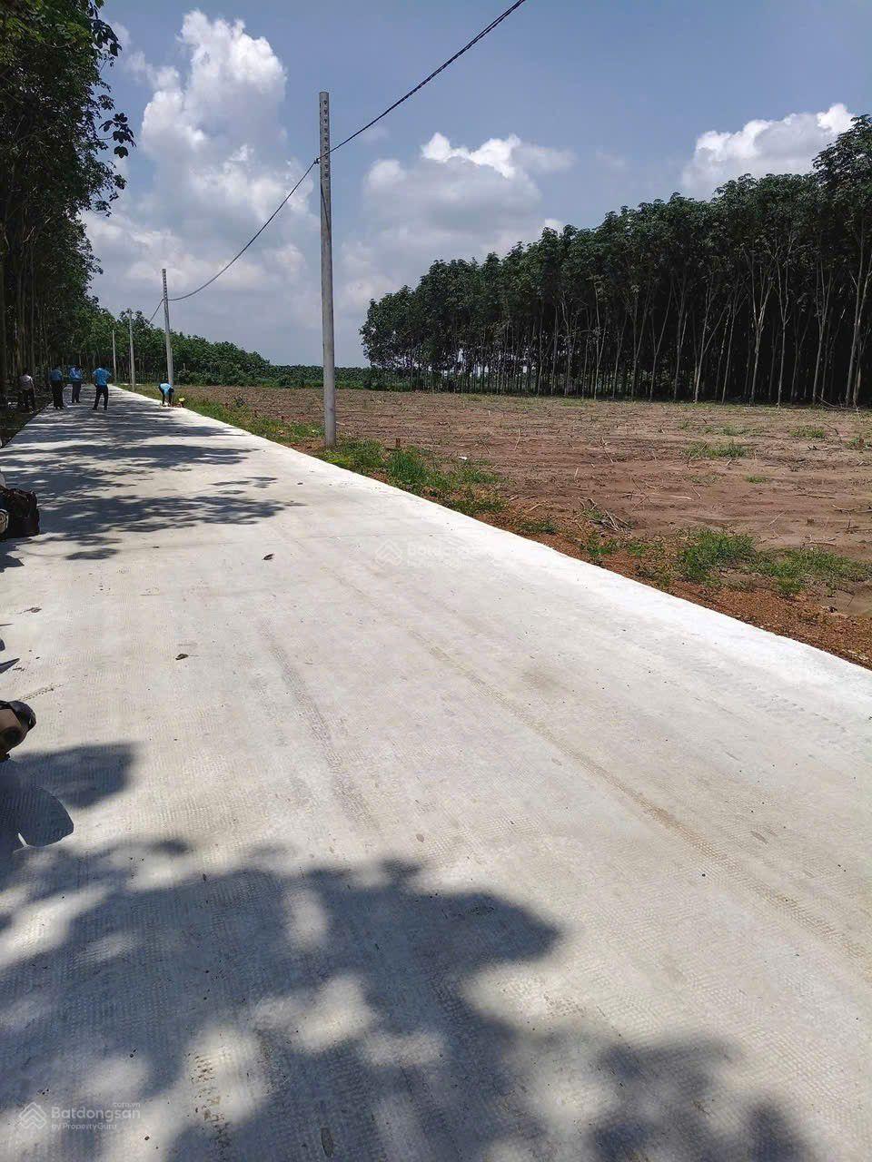 Bán đất 400m2 đường 12, Minh Thắng, Chơn Thành, Bình Phước, giá 450 triệu