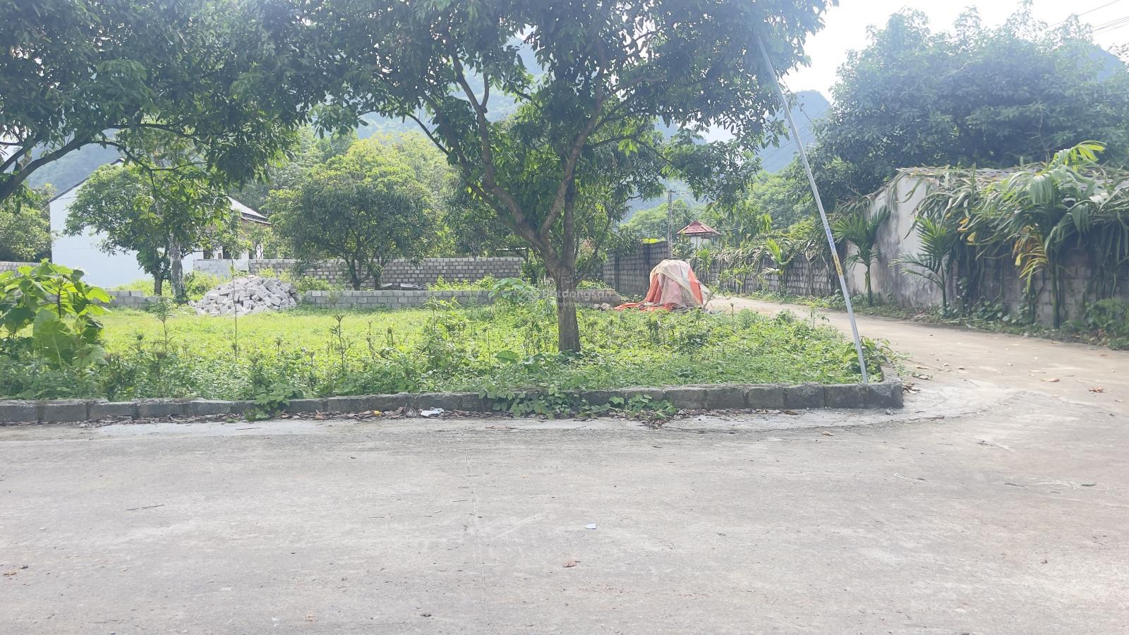 Em Còn Duy Nhất 1 Lô Góc S= 181m2 ( Có 110m2 ONT ) .mặt tiền bằng hậu 10m giá nhỉnh 800tr