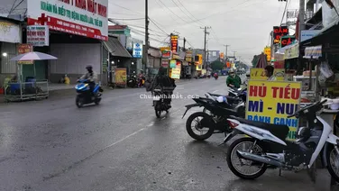 Bán dãy trọ 12 phòng mặt tiền đường 24A khu dân cư Tân Đức, kinh doanh buôn bán đa ngành