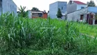 Chủ NGỘP LÔ ĐẤT 103m2 ở phước Vĩnh An Cần Ra Gấp giá 720tr Quá ngộp rồi khách ơi Qtam nhắn em