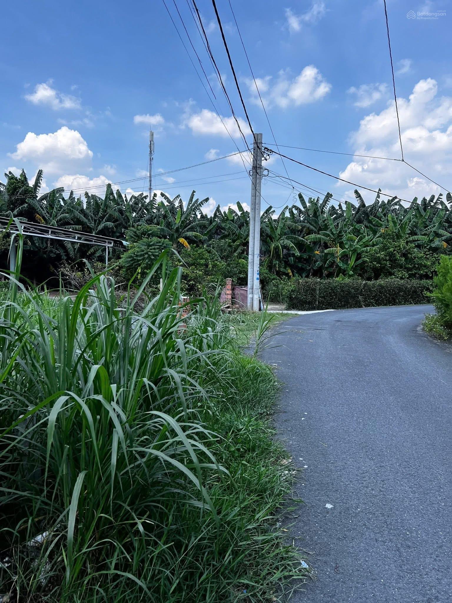 Chủ NGỘP LÔ ĐẤT 103m2 ở phước Vĩnh An Cần Ra Gấp giá 720tr Quá ngộp rồi khách ơi Qtam nhắn em