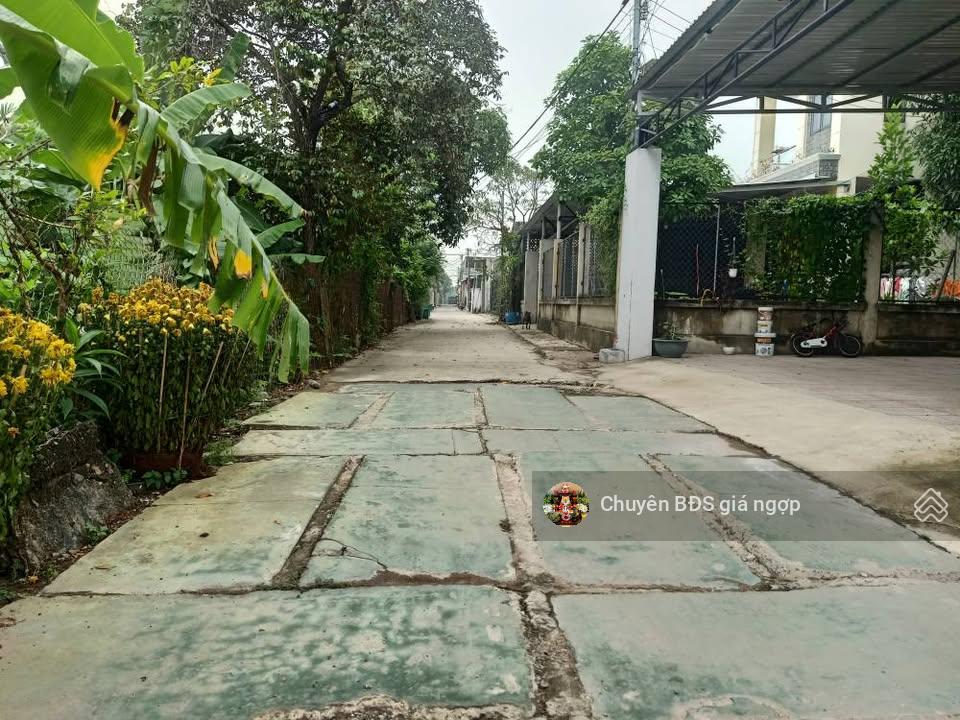 CHÍNH CHỦ BÁN LÔ ĐẤT Ở BÌNH NHÂM 30, DT 338M2 THỔ CƯ 120M2 , XÂY DỰNG TỰ DO , GIÁ NHỢP CHỈ 3,55 TỶ