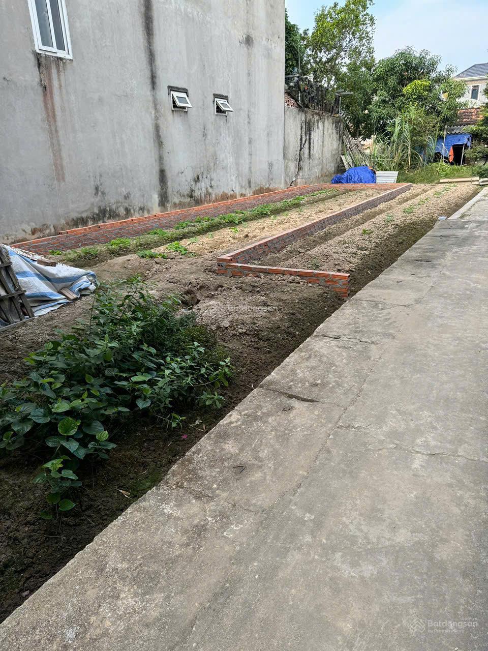 80m2 full thổ cư Yên Nhân, Tiền Phong, Mê Linh giá chỉ 38tr/m2