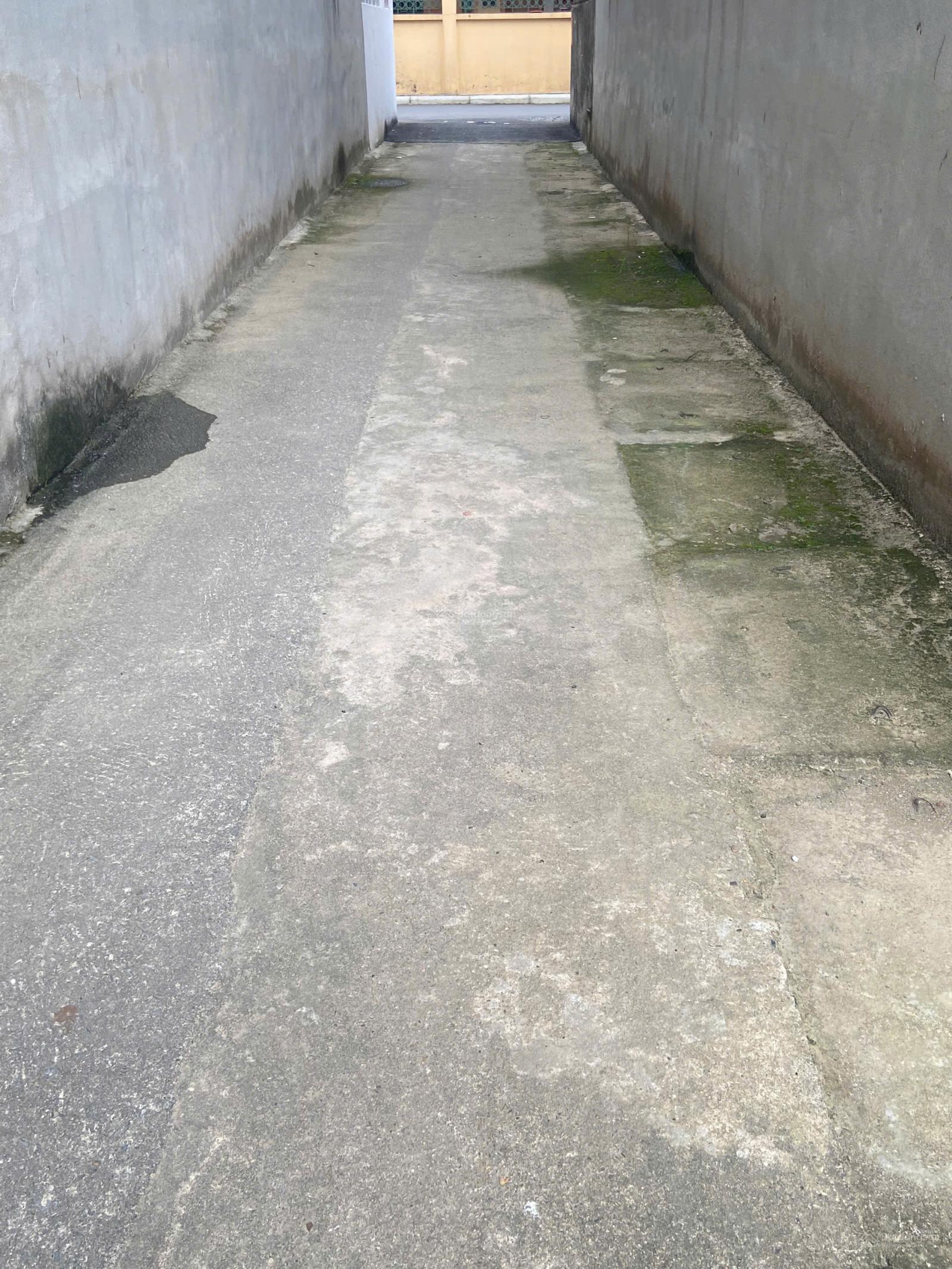 80m2 full thổ cư Yên Nhân, Tiền Phong, Mê Linh giá chỉ 38tr/m2