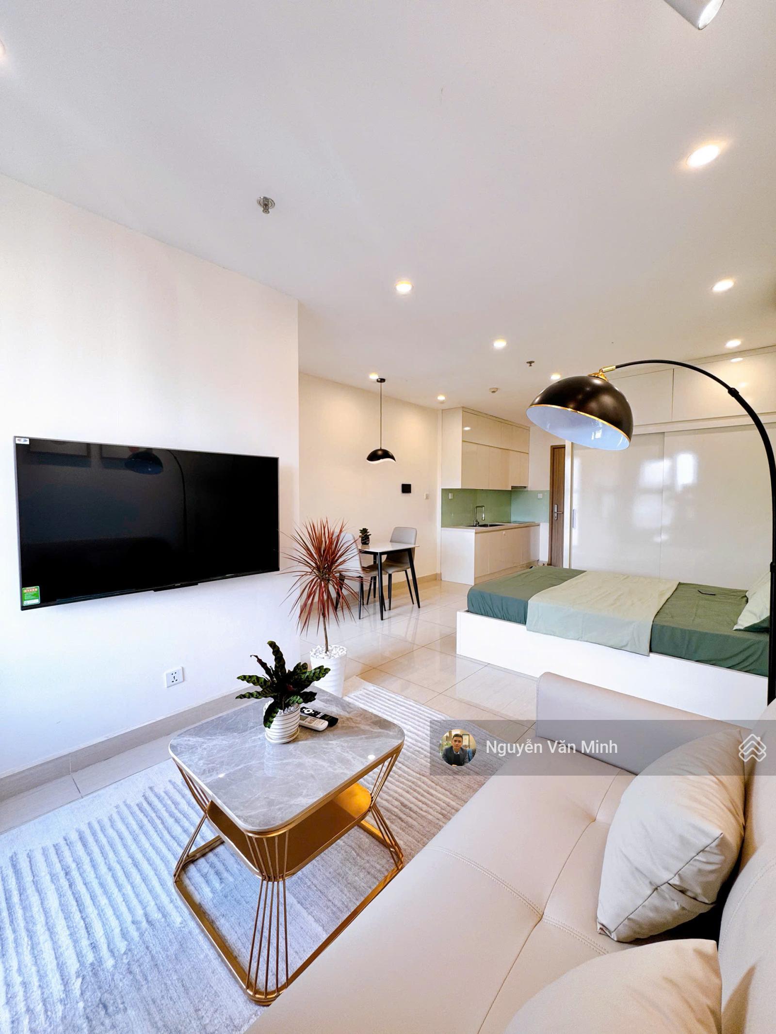 Chính chủ bán căn hộ studio 31m2 giá 2 tỷ 290 tòa S101 Vinhomes Smart City