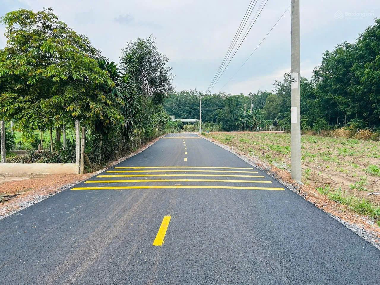 cần bán nhanh lô đất ở xã Phước Thành, TpHcm 250m2 sẵn thổ cư 100m đất ở