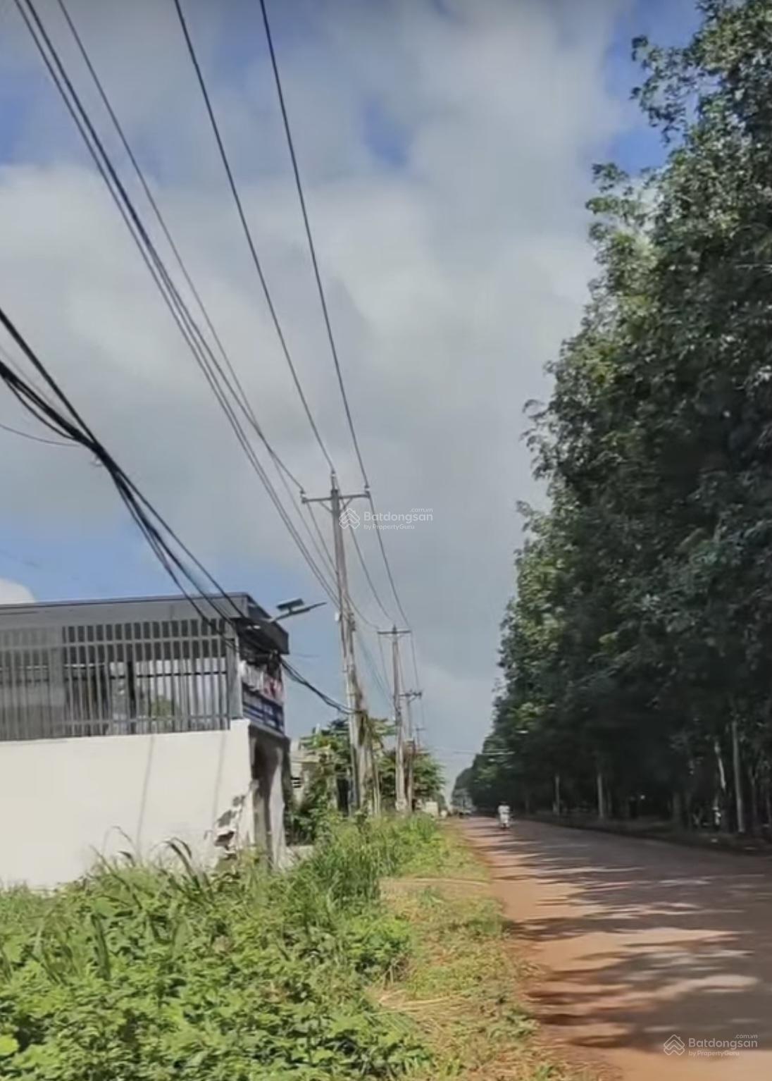 Bán nền nhựa kinh doanh bầu sen xuân lập đồng nai