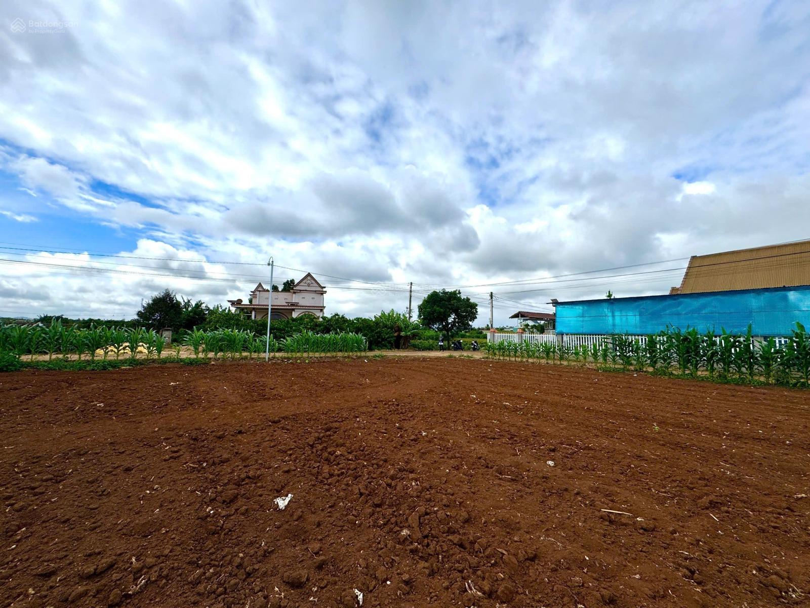 SIÊU HÓT ĐẤT VỊ TRÍ ĐẸP TÂN HỘI - ĐỨC TRỌNG -LÂM ĐỒNG