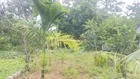 Chính chủ gửi bán 100m2 full ONT gần khu CN Thanh Cao Lương Sơn Hòa Bình (giá đầu tư) chỉ hơn 700tr