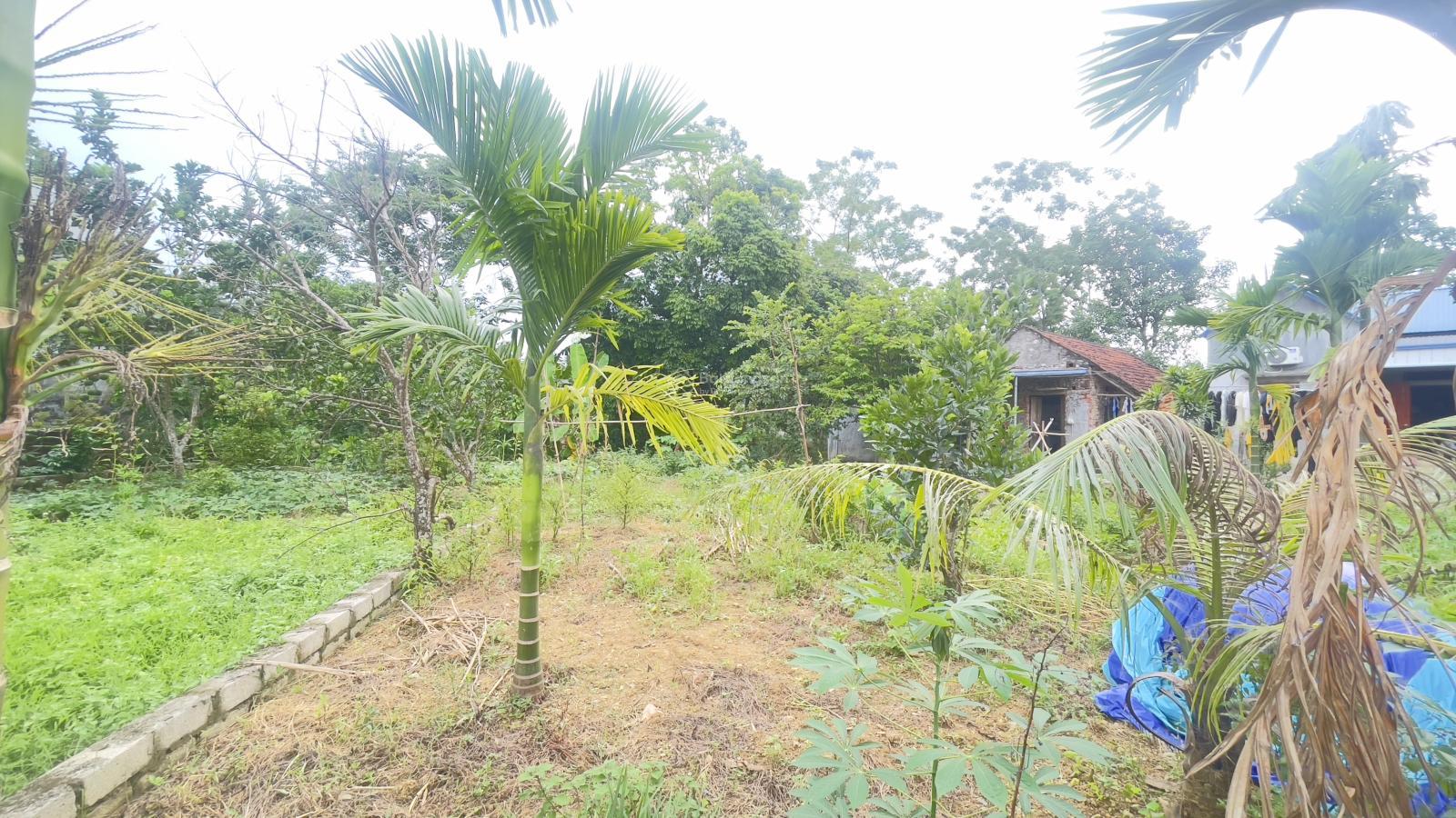 Chính chủ gửi bán 100m2 full ONT gần khu CN Thanh Cao Lương Sơn Hòa Bình (giá đầu tư) chỉ hơn 700tr