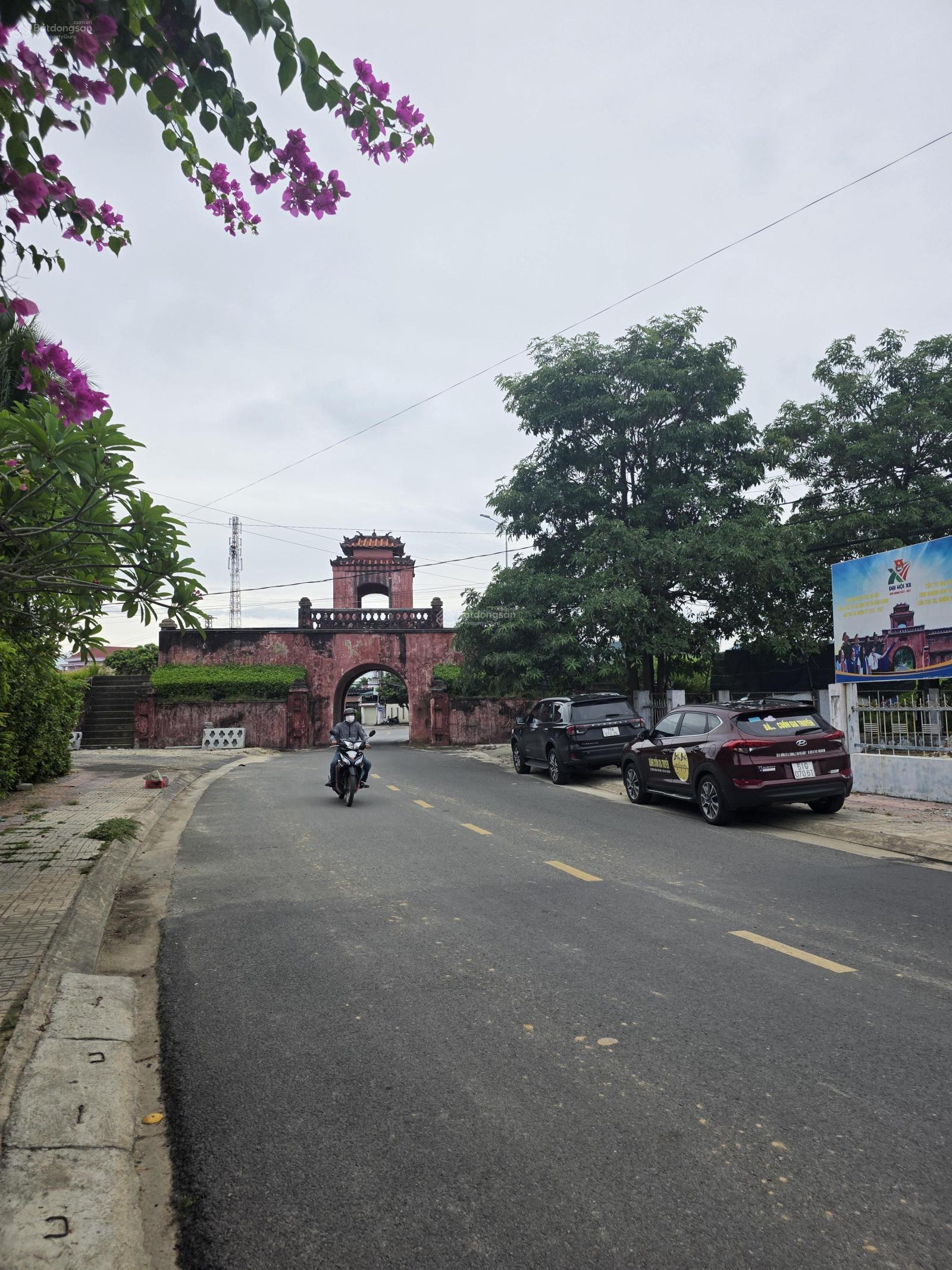 Chính chủ cần tiền bán cắt lỗ lô nhà phố đường Ngô Gia Tự - KDT mới Nam Sông Cái giá 14,5tr/m2