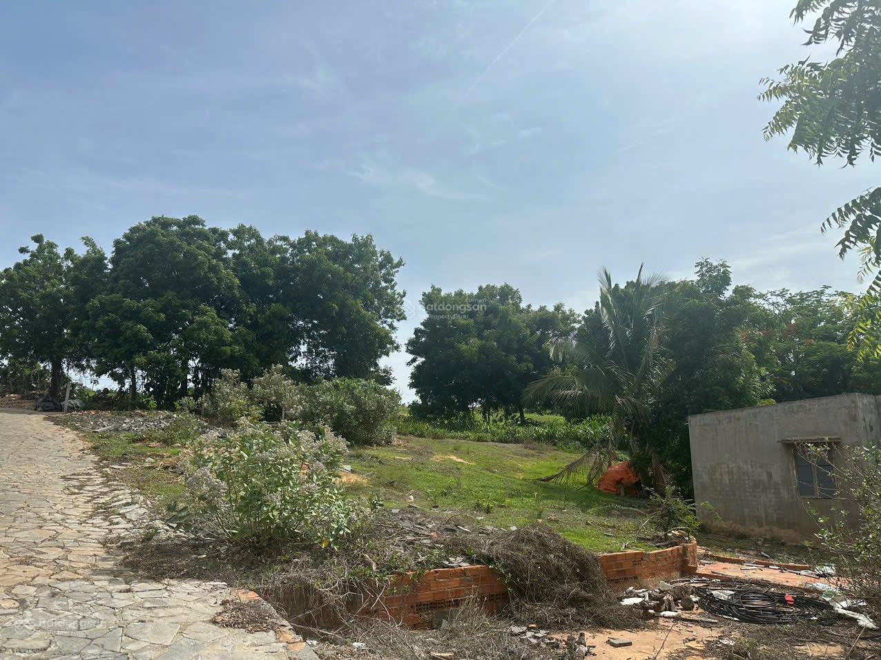 Chính chủ cần bán gấp mảnh đất mặt tiền đường nhựa ĐT716 Hòa Thắng, Bắc Bình, Bình Thuận