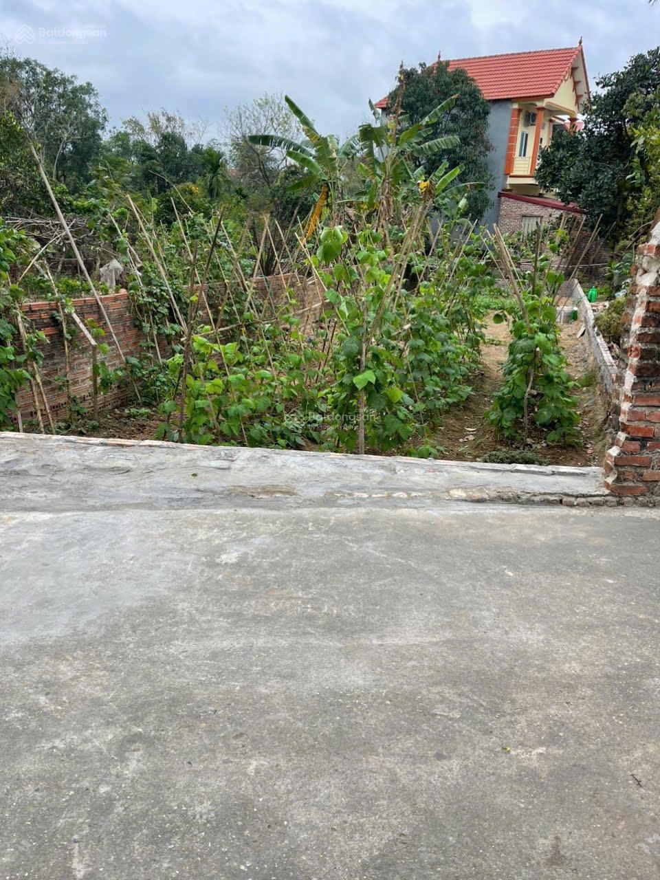 Bán đất thổ cư tại Phú Hữu - Thanh Lâm - Hà Nội gần chợ hoa quả lớn nhất miền Bắc