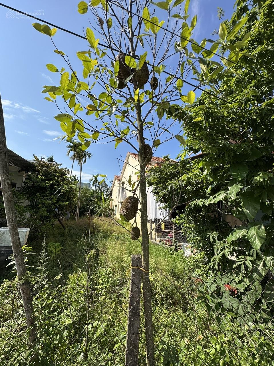 Bán Đất Nguyễn Tri Phương, 2,9 tỷ, 180m2, cơ hội hiếm tại Hội An