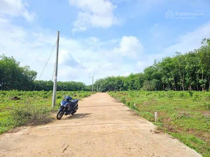 Bán đất Lộc An, Lộc Ninh, Bình Phước, giá chỉ 820tr, LH 0898 847 ***