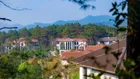 Bán Nhanh Cho Con Đi Du Học - Căn Đơn Lập Góc View 2 Mặt Công Viên Rừng Thông