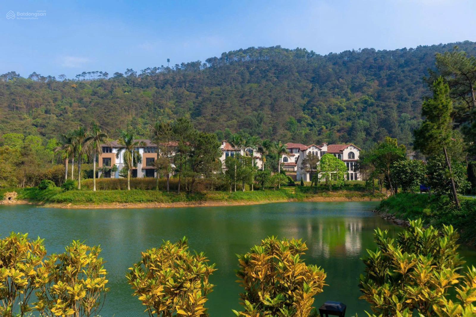 Suất Chiết Khấu 12% Biệt Thự Mặt Hồ Thanh Xuan Valley - Tư Vấn Tận Tâm, Uy Tín