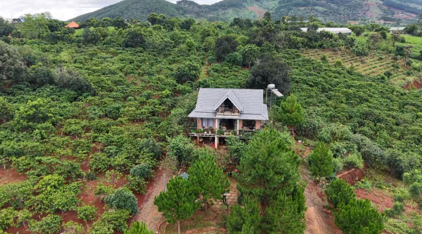 Bán nhà view đồi cực phẩm Sở hữu ngay 1.628m² đất chỉ với 3,2 tỷ!