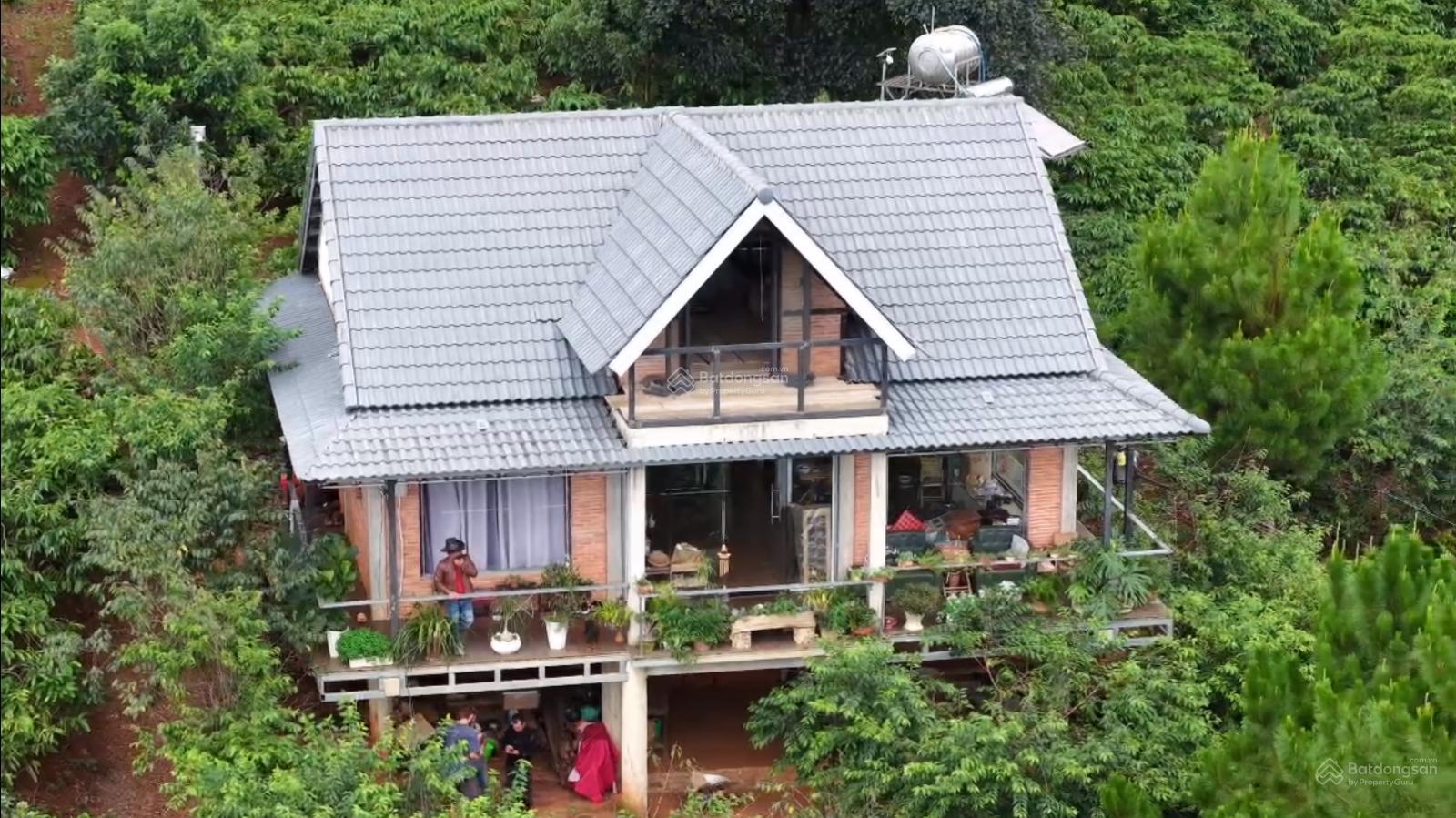 Bán nhà view đồi cực phẩm Sở hữu ngay 1.628m² đất chỉ với 3,2 tỷ!