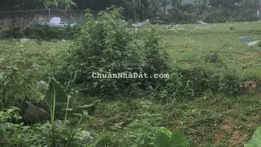 Chính chủ cần bán mảnh đất mặt đường DT446 Xã Yên Bình, Thạch Thất, Hà Nội, DT 394m², MT 15m