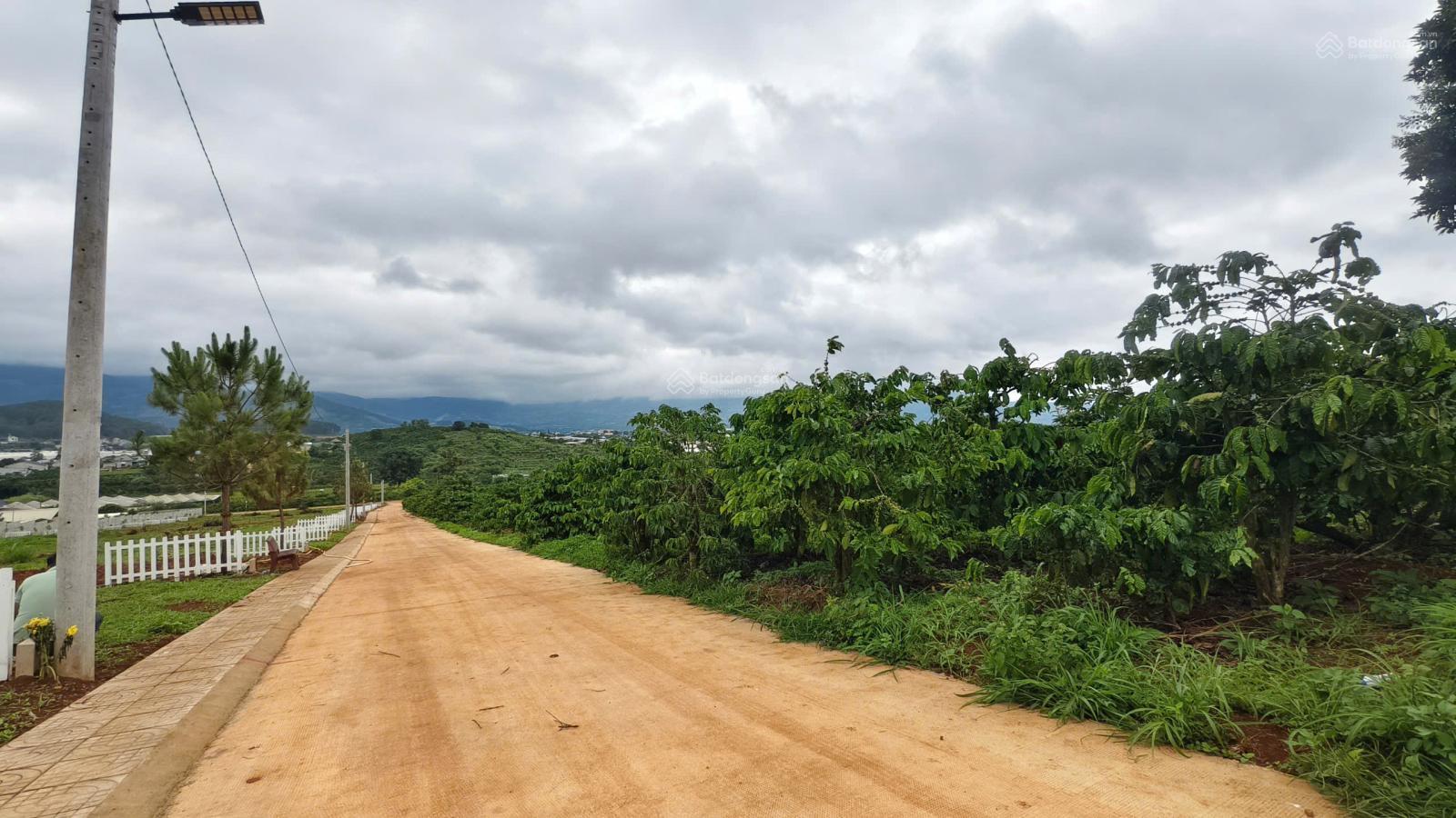 Mặt tiền khủng 90m, view đẹp hạ tầng sẵn, quá đẹp để đầu tư phân lô
