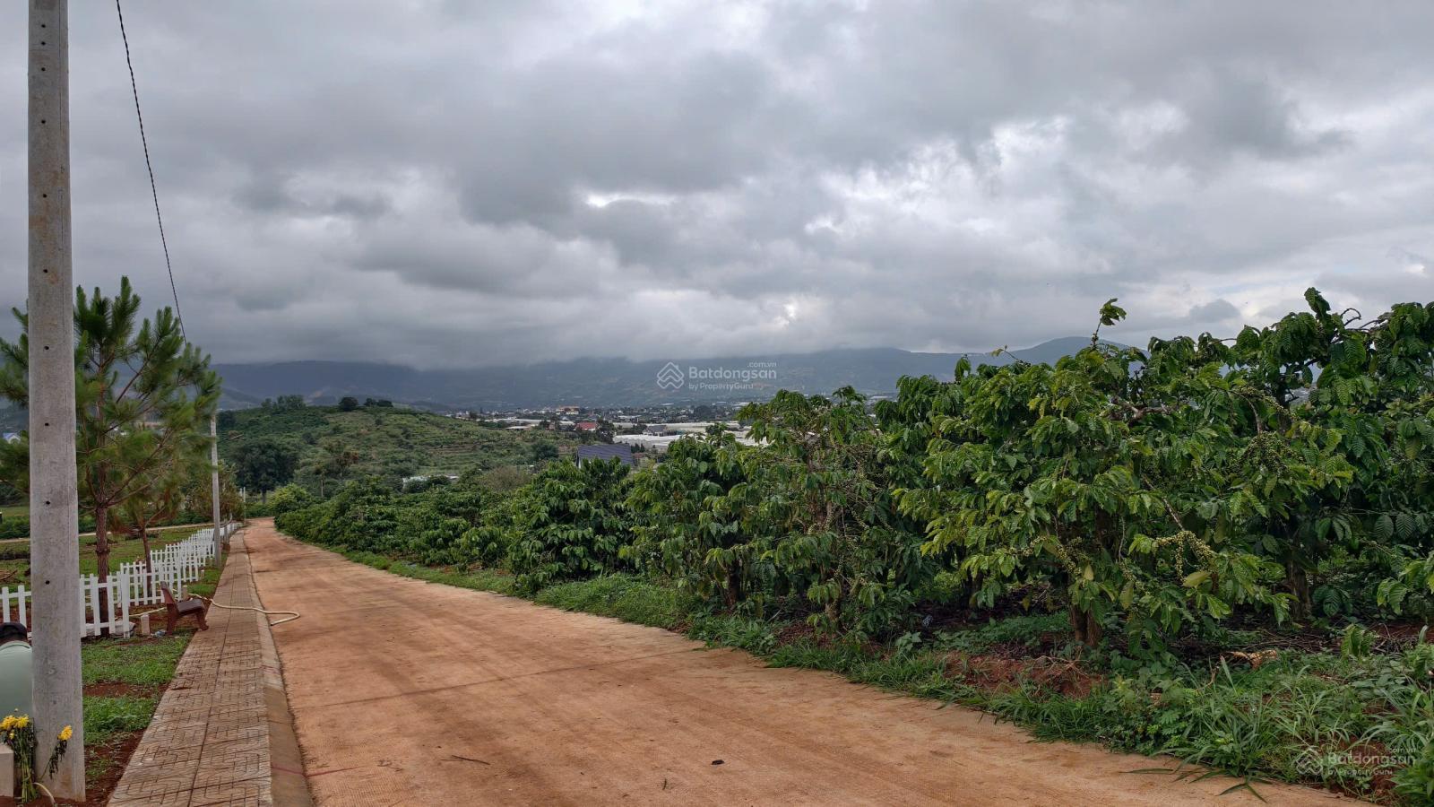 Mặt tiền khủng 90m, view đẹp hạ tầng sẵn, quá đẹp để đầu tư phân lô