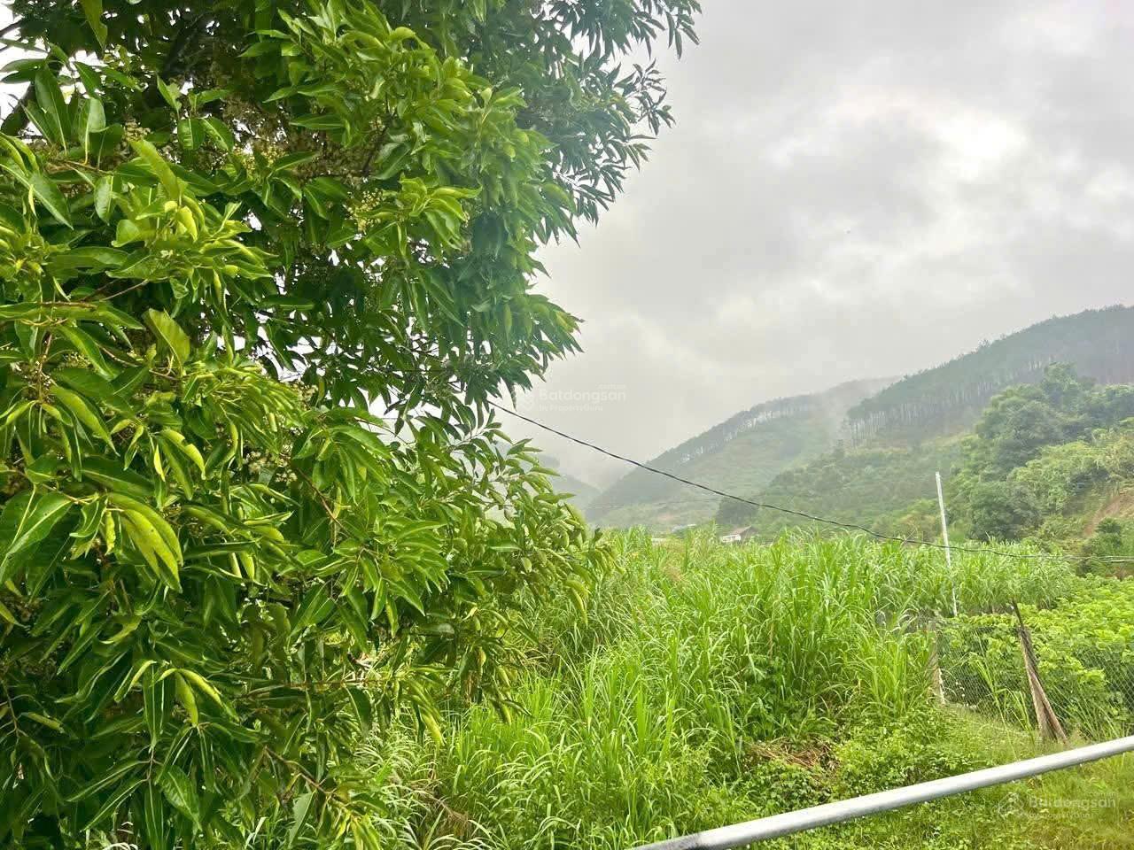 Săn lô đất nghỉ dưỡng đẹp nhất Đông Thanh, Lâm Hà ven Đà Lạt 219m² có 100m² thổ cư Săn lô đất nghỉ dưỡng đẹp nhất Đông Thanh, Lâm Hà ven Đà Lạt 219m² có 100m² thổ cư
