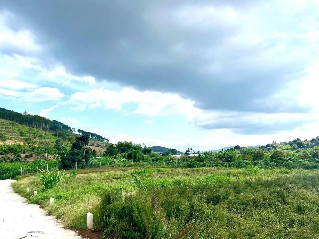 Săn lô đất nghỉ dưỡng đẹp nhất Đông Thanh, Lâm Hà ven Đà Lạt 219m² có 100m² thổ cư