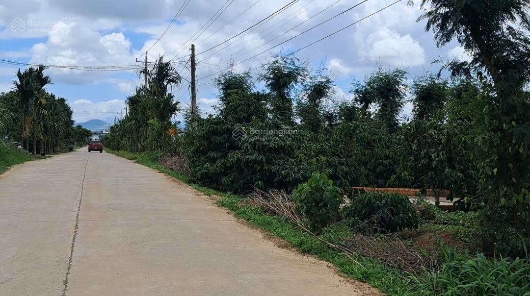 Sở hữu đất Đinh Văn Lâm Hà chỉ 430 triệu 200m² sẵn thổ cư gần Đà Lạt
