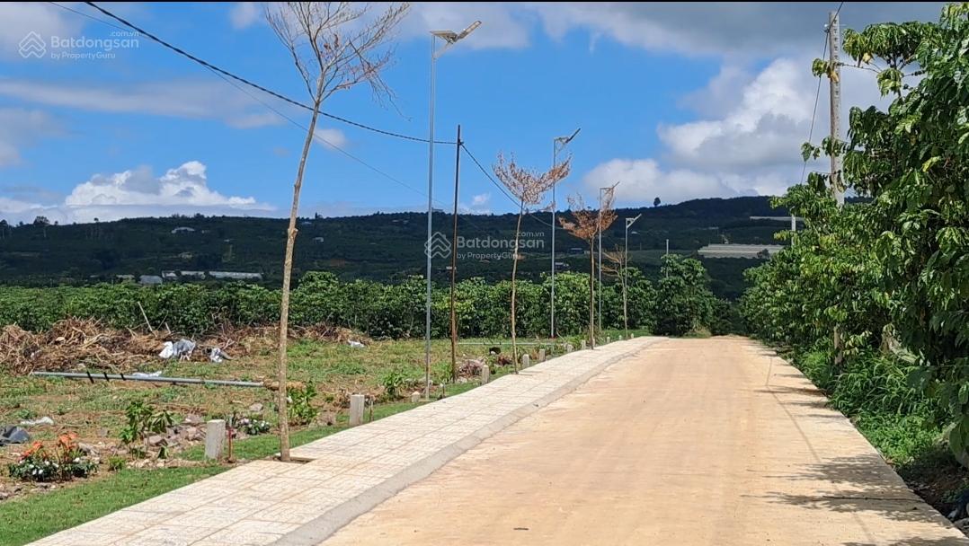 Sở hữu đất Đinh Văn Lâm Hà chỉ 430 triệu 200m² sẵn thổ cư gần Đà Lạt