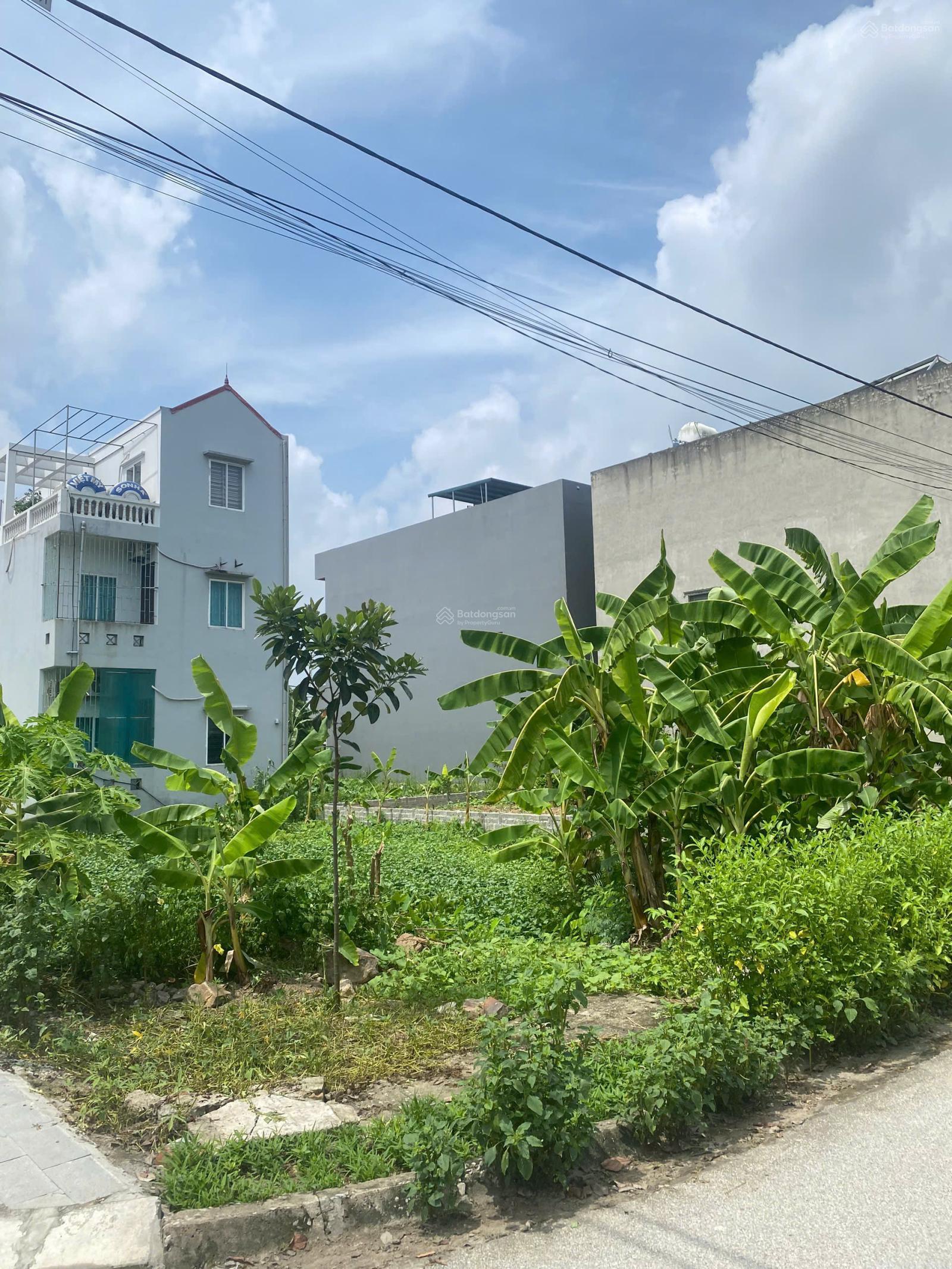 Đất đẹp xã Liên Hậu Ninh Khánh: 108m², đường 15m; Gần Vạn Hạnh, Học Viện Phật Giáo, cách QL1A-200m