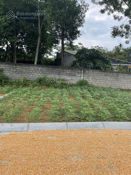 350 triệu có lô đất 88m2 đường thông rộng ô tô vào nhà khu dân cư Cao Dương - Lương sơn - Hòa Bình
