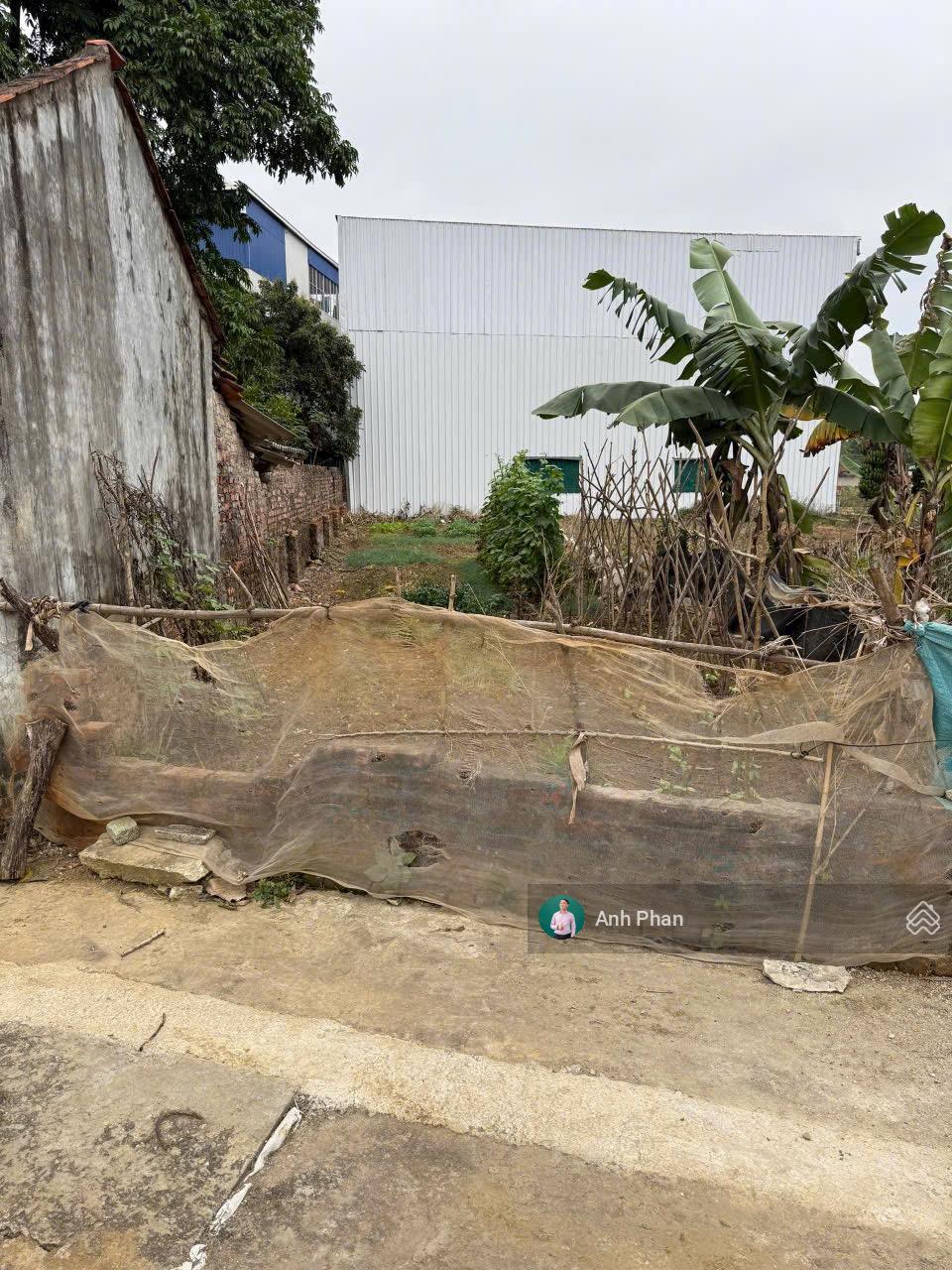 Cần tiền bán gấp lô đất 125m, MT 4,5m, nở hậu 5,15m. Tân Xã, Thạch Thất, Hà Nội giá 38tr/m2. Oto va