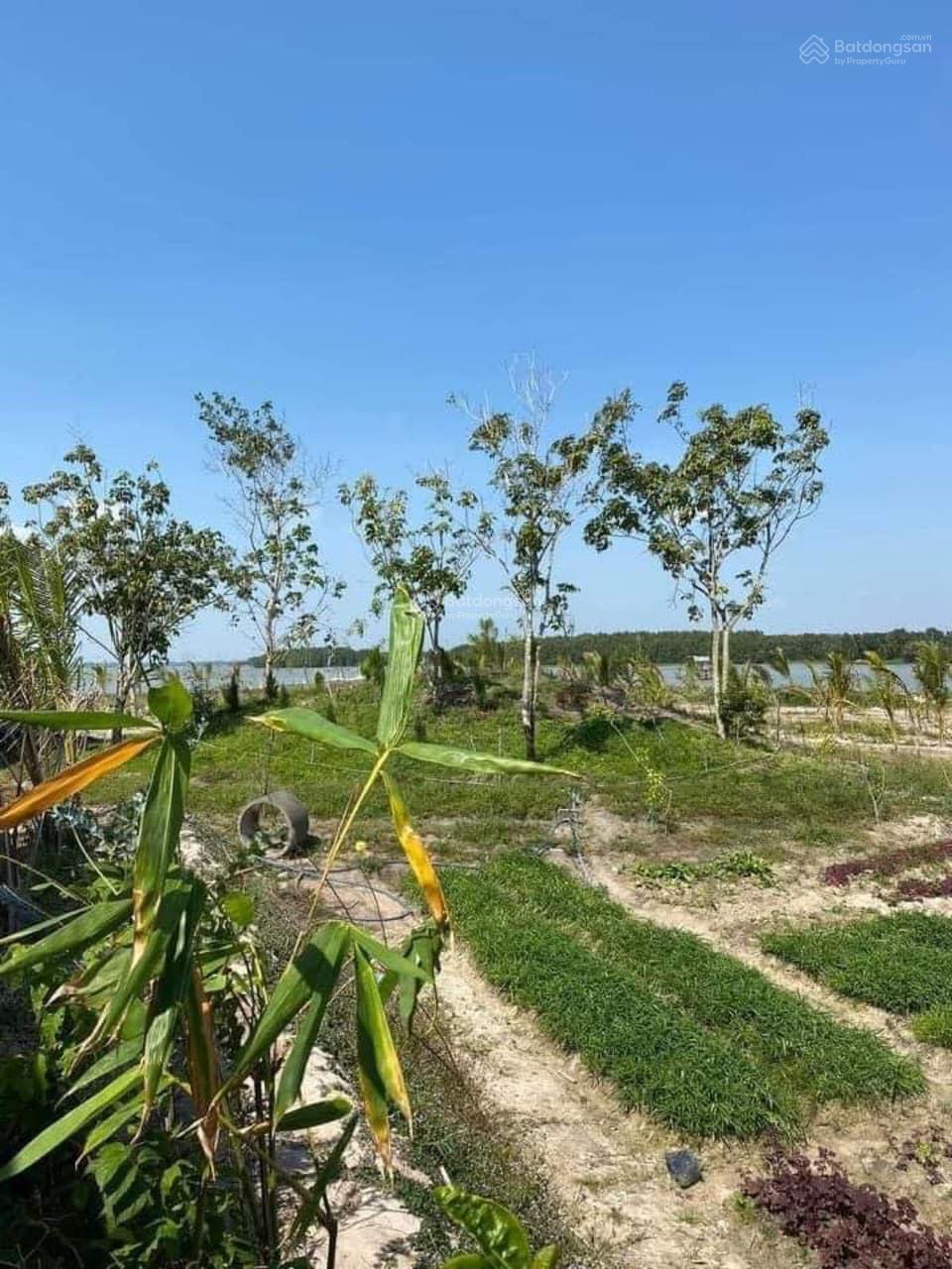 Bán đất siêu hot tại Định An, Dầu Tiếng, Bình Dương, 1 tỷ, 1100m2