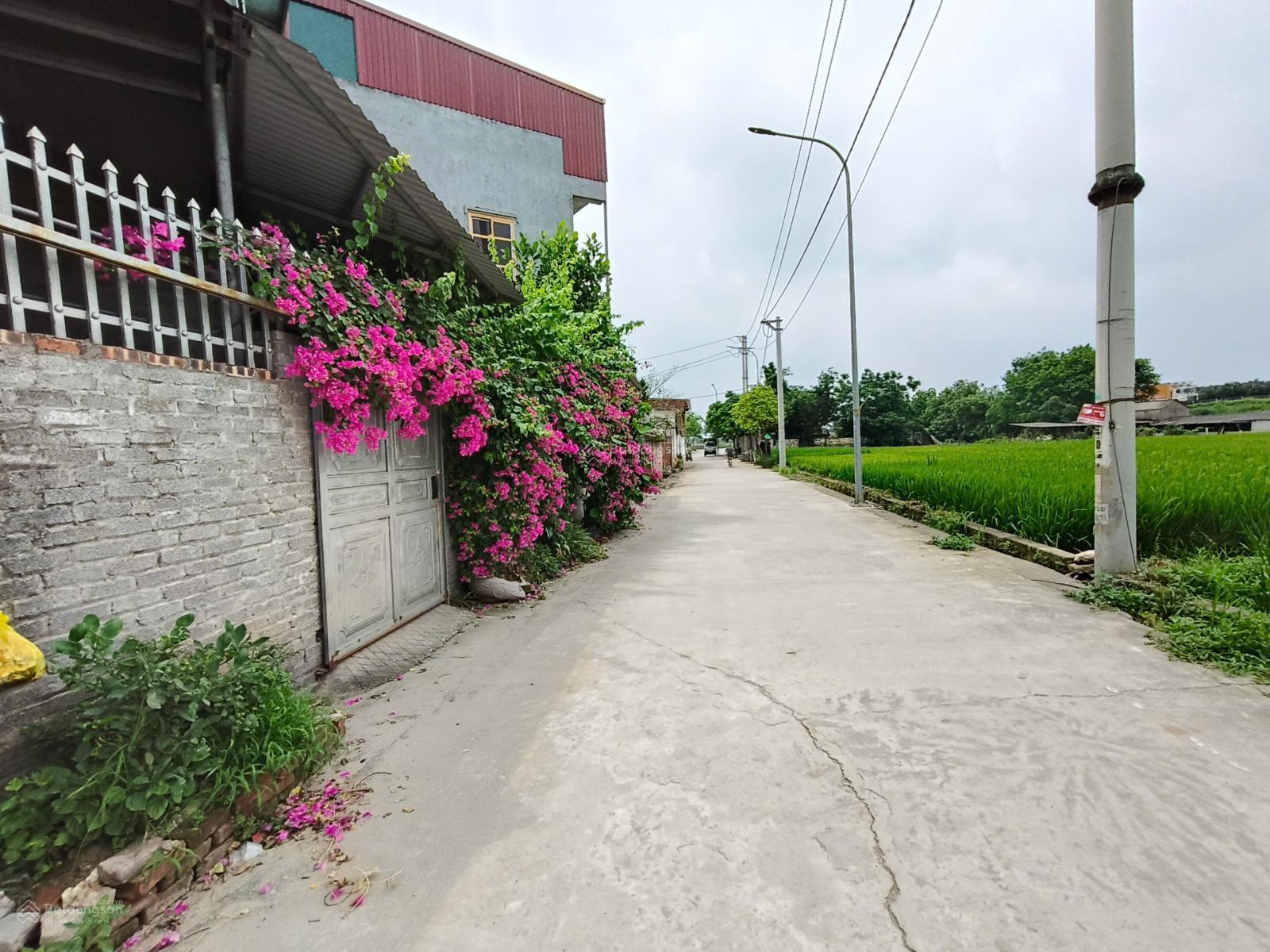 Bán 75m2 Dục Tú, giá 3x, rẻ nhất thị trường, đầu tư siêu lời