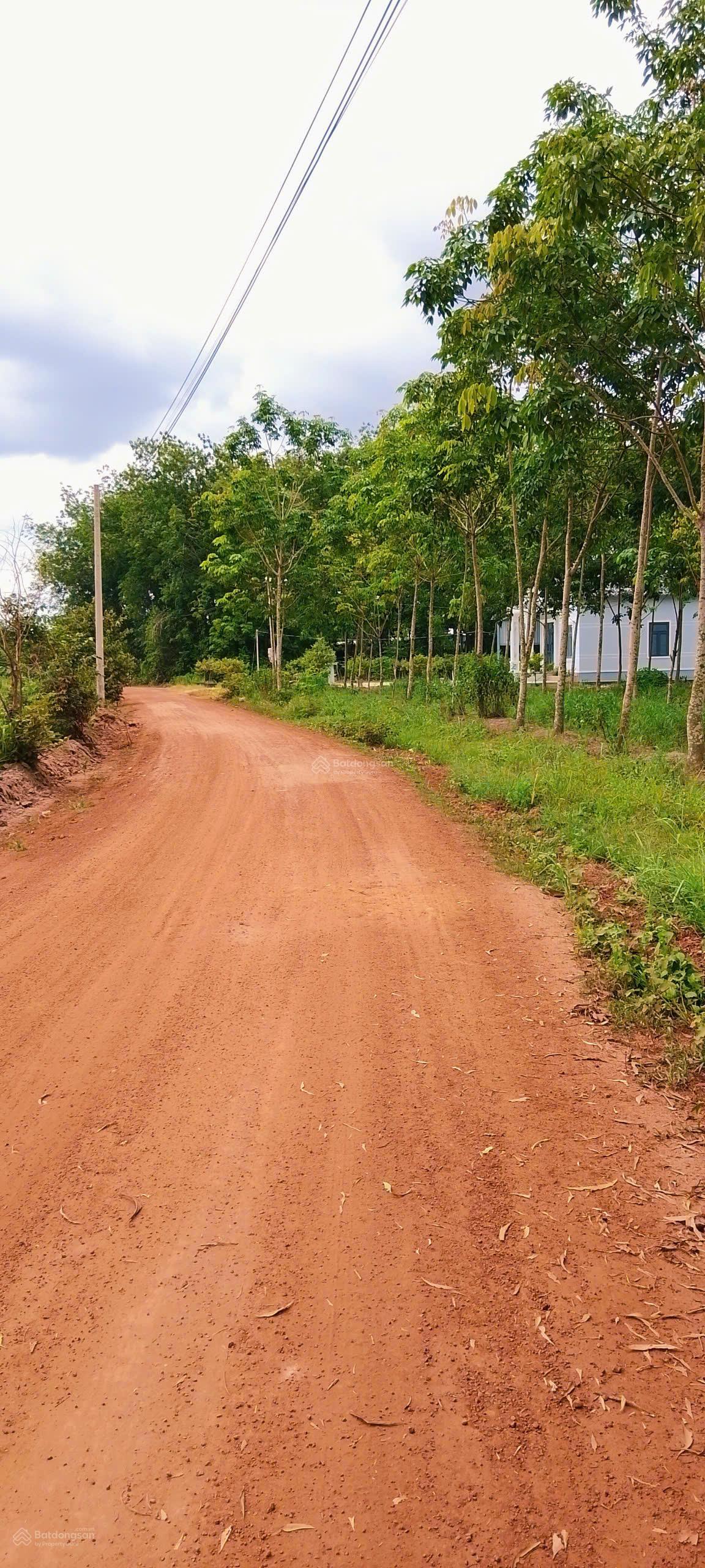 Bán đất Minh Thạnh, Dầu Tiếng 242.5m² đường xe hơi giá đầu tư cực mềm