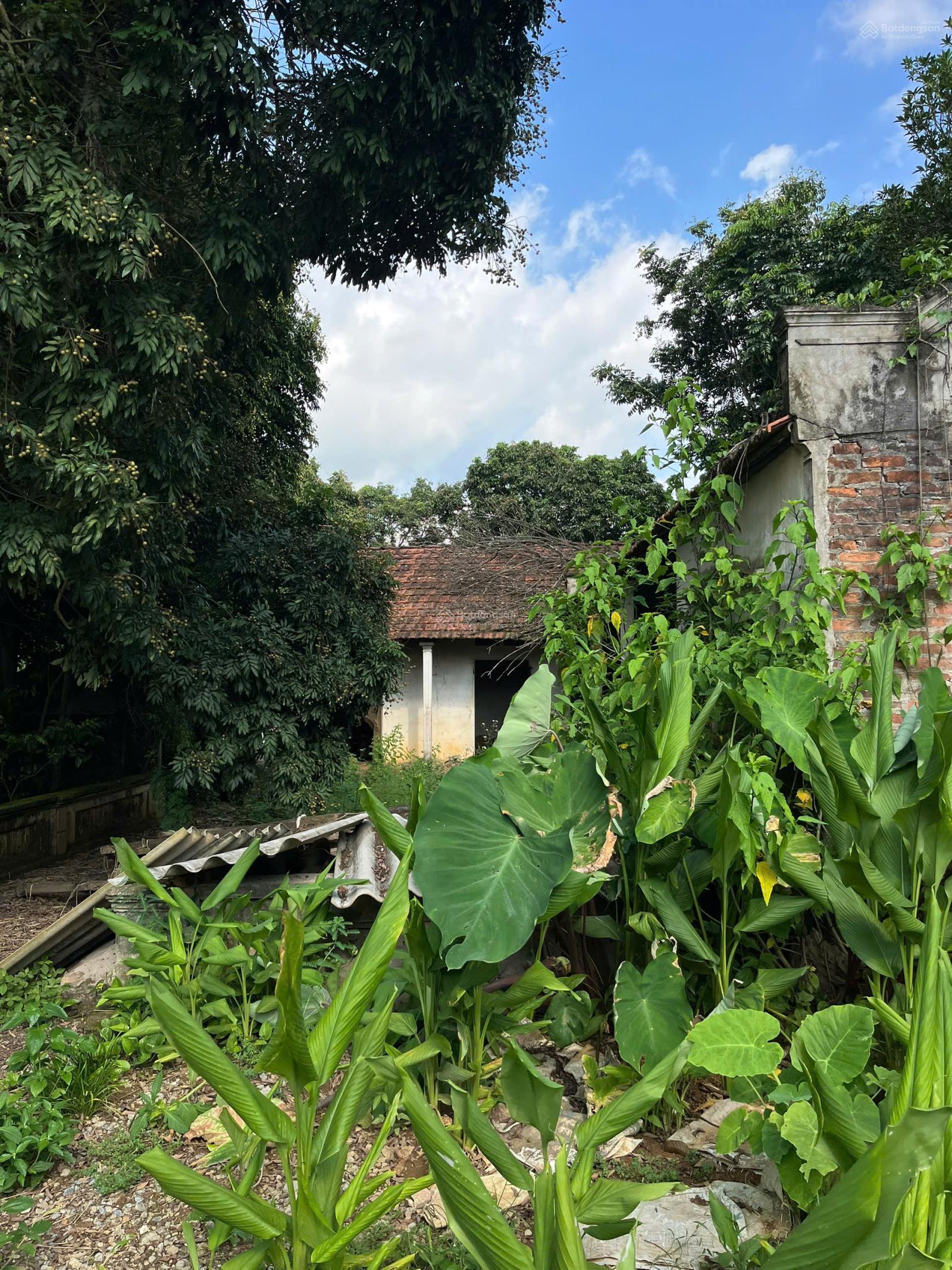 Mảnh đất view núi Ba Vì, mặt giáp đập Vống với làn nước xanh mướt quanh năm Minh Quang, Ba Vì, HN