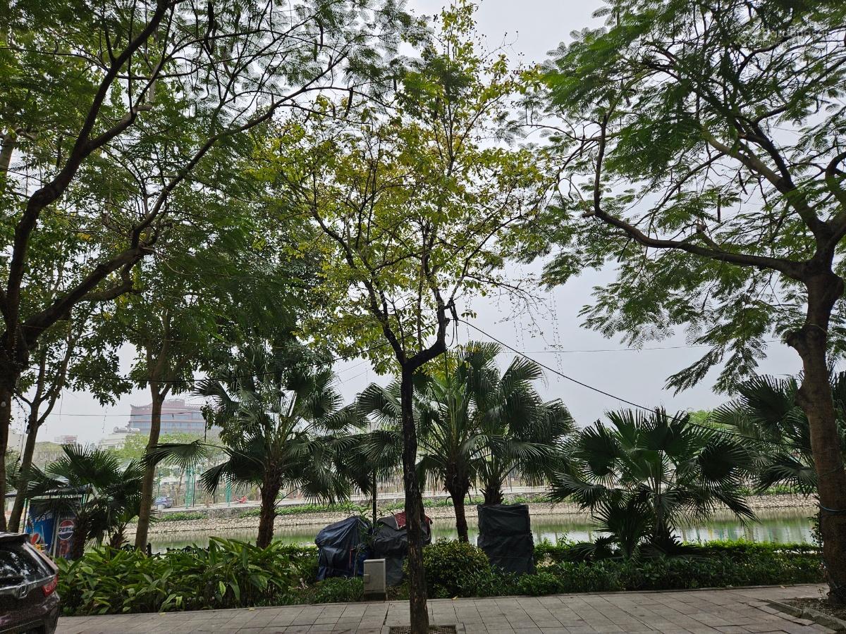 Bán đất mặt phố Trịnh Công Sơn, Tây Hồ - 120m2 đất đẹp - mặt tiền 5m - view hồ - giá 88.5 tỷ