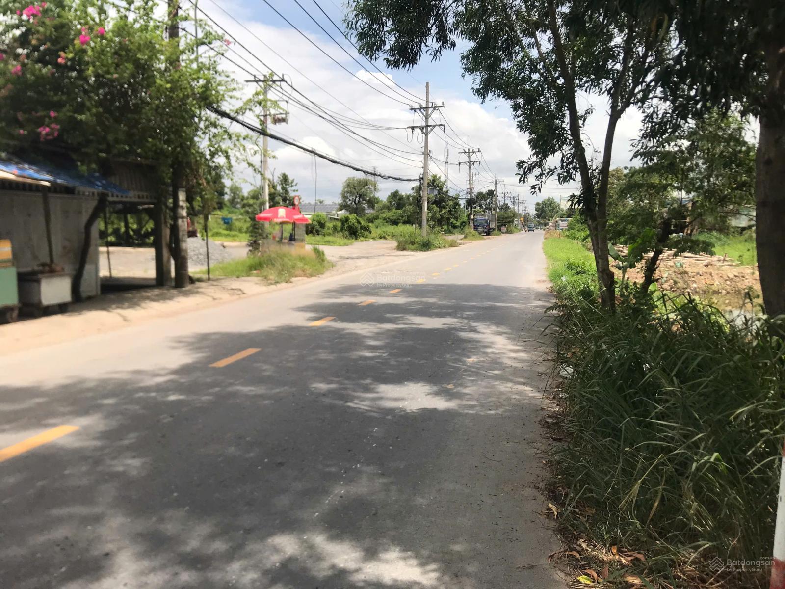 Khuôn viên nhà vườn có sẵn vườn cây ăn trái mặt tiền đường lớn Bình Mỹ, Củ Chi